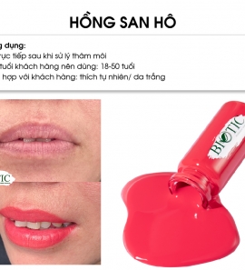 HỒNG SAN HÔ 2023