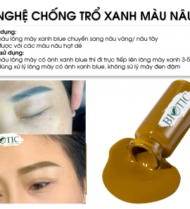 NGHỆ CHỐNG TRỔ XANH MÀU NÂU 2023