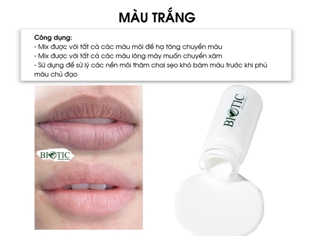 MÀU TRẮNG 2023