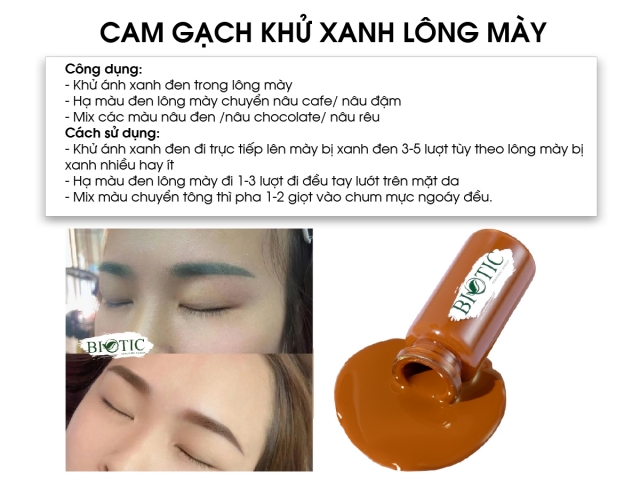 CAM GẠCH 2023