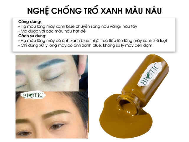 NGHỆ CHỐNG TRỔ XANH MÀU NÂU 2023